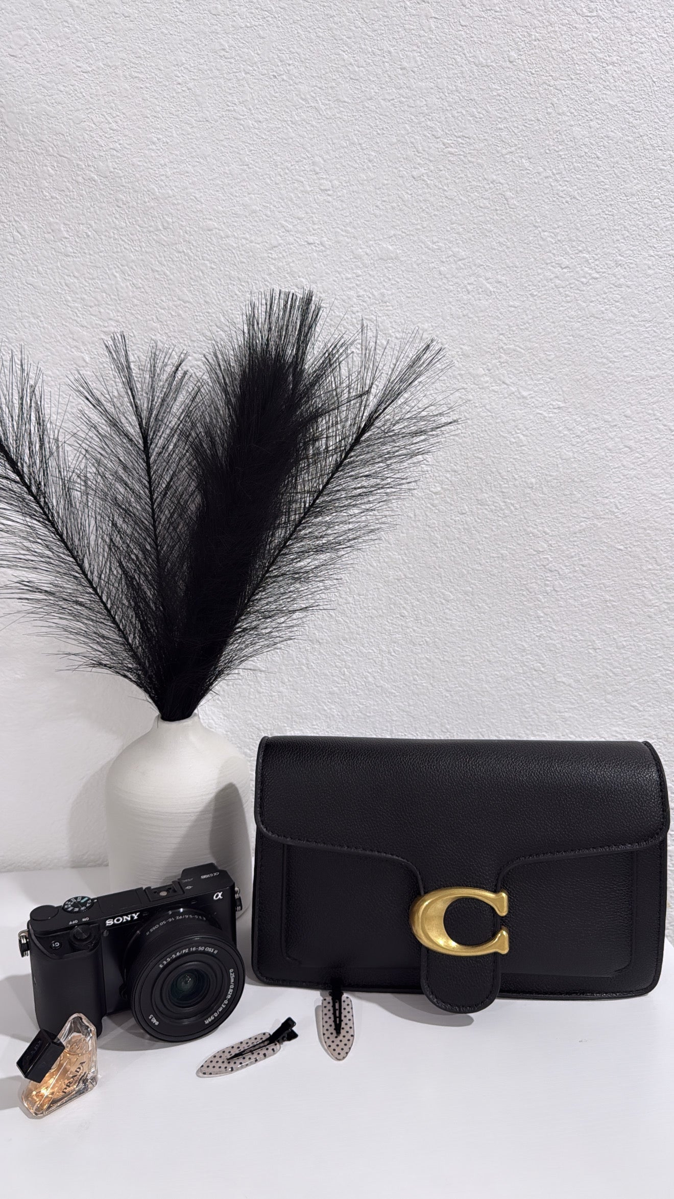 Coach bag | Non-Authentic | Replica