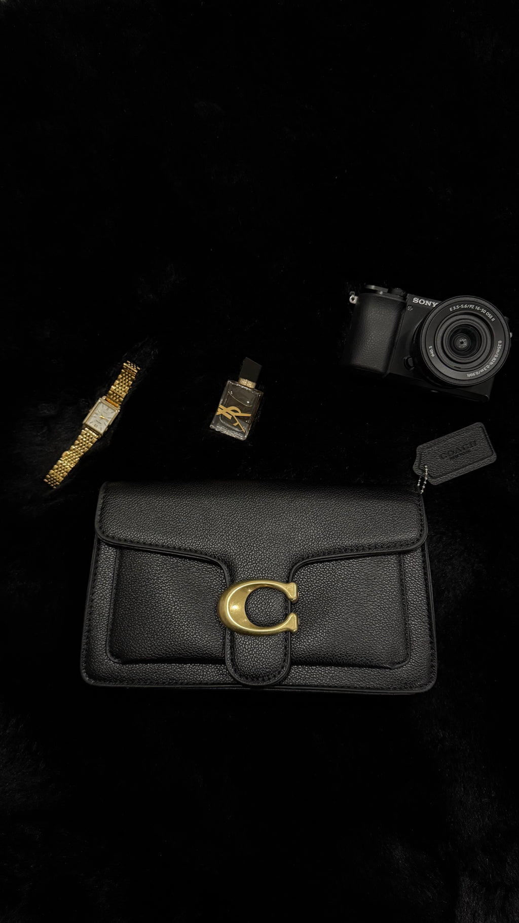 Coach bag | Non-Authentic | Replica